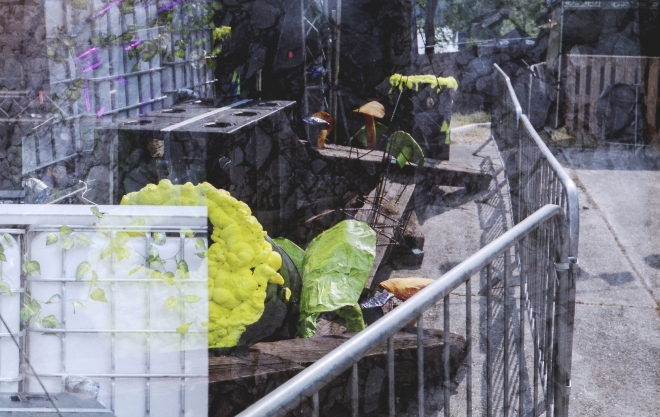 5 COAL 2021, Žermanice, Zátoka